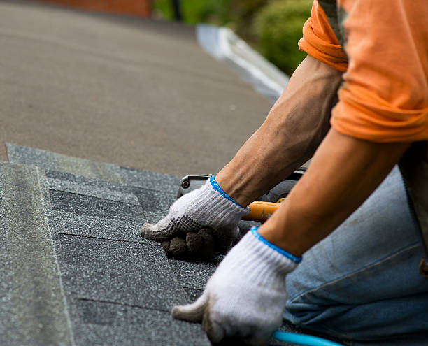 Best Storm Damage Roof Repair  in Orleans, IN